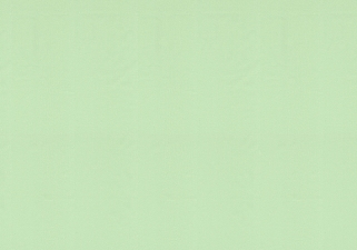 Флизелиновые обои облегченные горячего тиснения Vinil СШТ 3-1099 Джунгли стена 1,06х10,05м