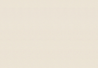 Виниловые обои на флизелиновой основе Vinil Lanita Мая светло-капучиновый 1.06х10.05 м СШТ3-1158