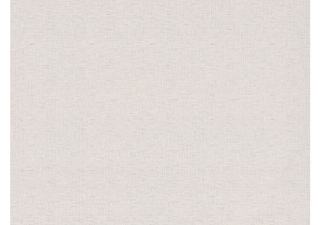 Виниловые обои на флизелиновой основе Славянские обои Столица-2 488-10 В107 1.06х10.05 м