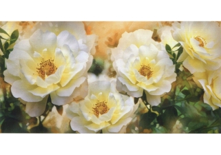Фотообои Престиж (Prestige) Арт-Декор 31 Чайная роза 12 листов 392х204