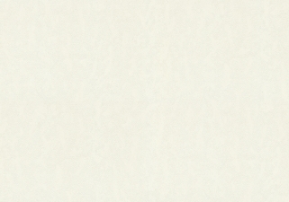 Флизелиновые обои облегченные горячего тиснения Vinil ЭШТ 7-0991 Аделия бело-жемчужный 1,06x10,05м