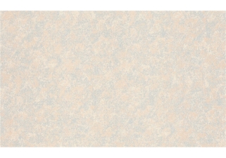 Обои вспененный винил на флизелиновой основе метровые Bravo 1.06х10.05 м 80 86021