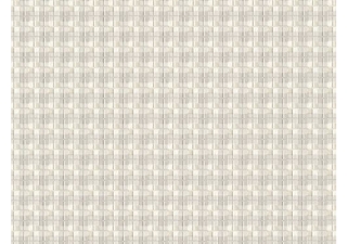 Виниловые обои на бумажной основе моющиеся Славянские обои Бонжур-2 0.53х10.05 м 5652-06 В49.4